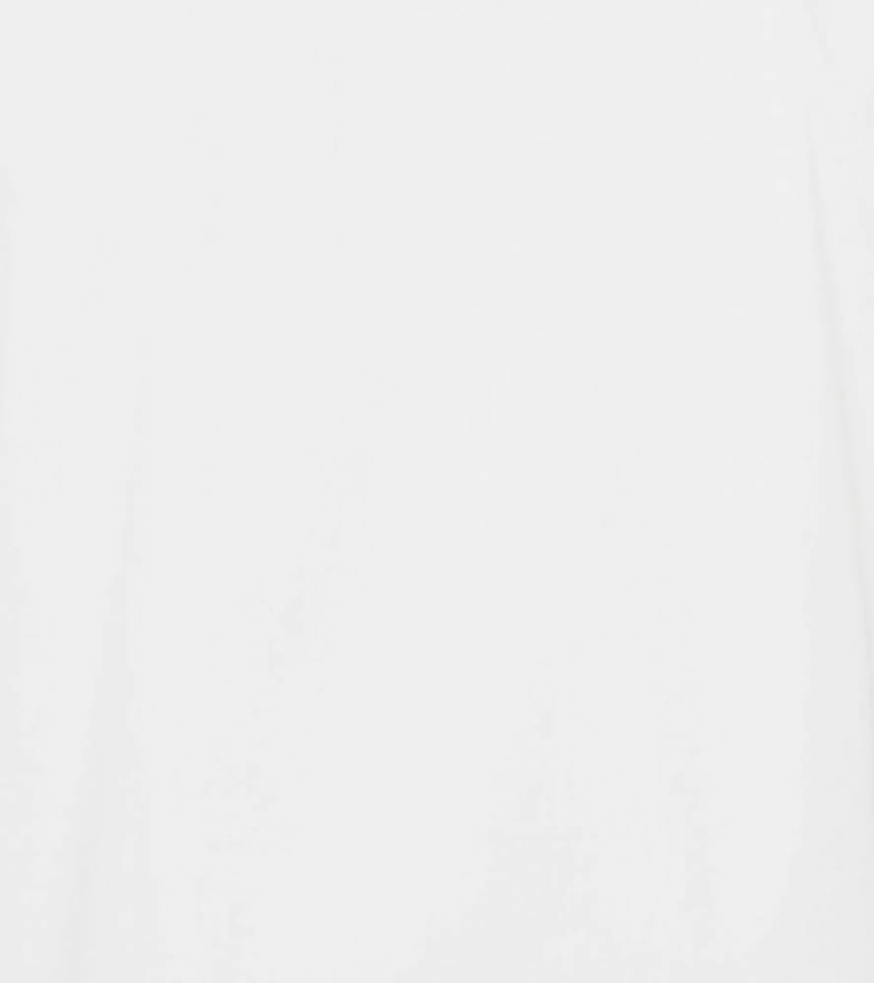 Stacy Adams Dunne Dress Shirt Spread Collar
