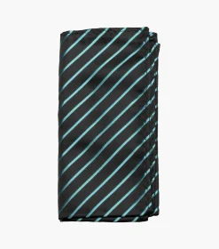 Stacy Adams Formal Teal Tie & Hanky Set