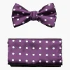 Stacy Adams Giroux Bow Tie & Hanky Set