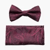 Stacy Adams Oliver Bow Tie & Hanky Set